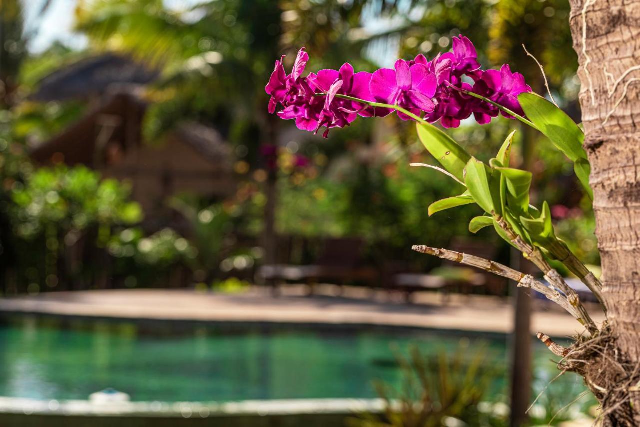 Ventura Barra Grande Hotel Barra Grande  Eksteriør billede